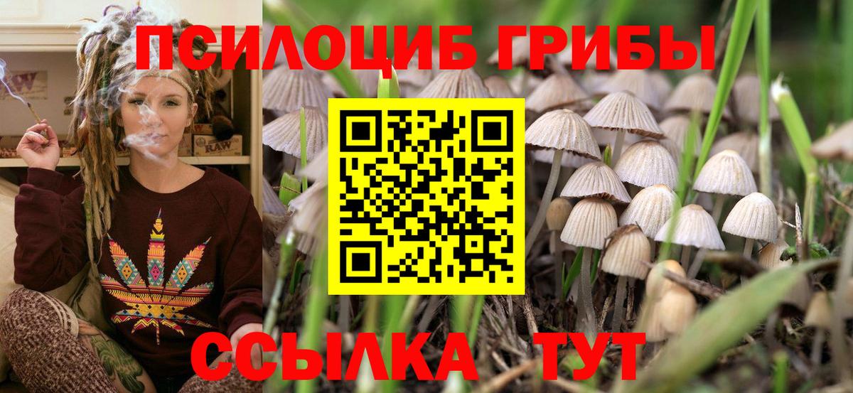 Реутов  Галлюциногенные грибы Psilocybine cubensis  Вход с VPN  где купить наркоту  Псилоцибиновые грибы ЛСД 
