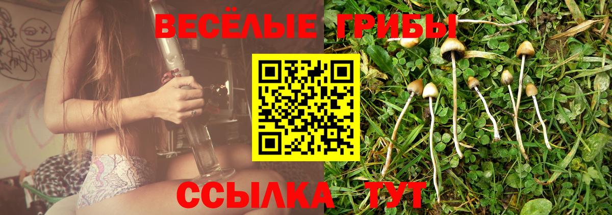 Псилоцибиновые грибы прущие грибы Реутов